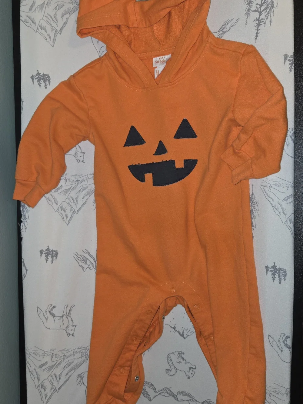 Cat & Jack soft orange